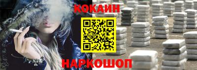 альфа пвп Новодвинск