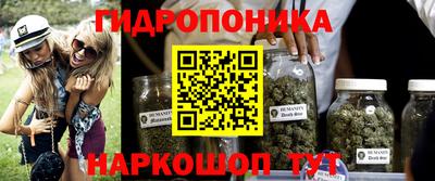 гашиш Новозыбков