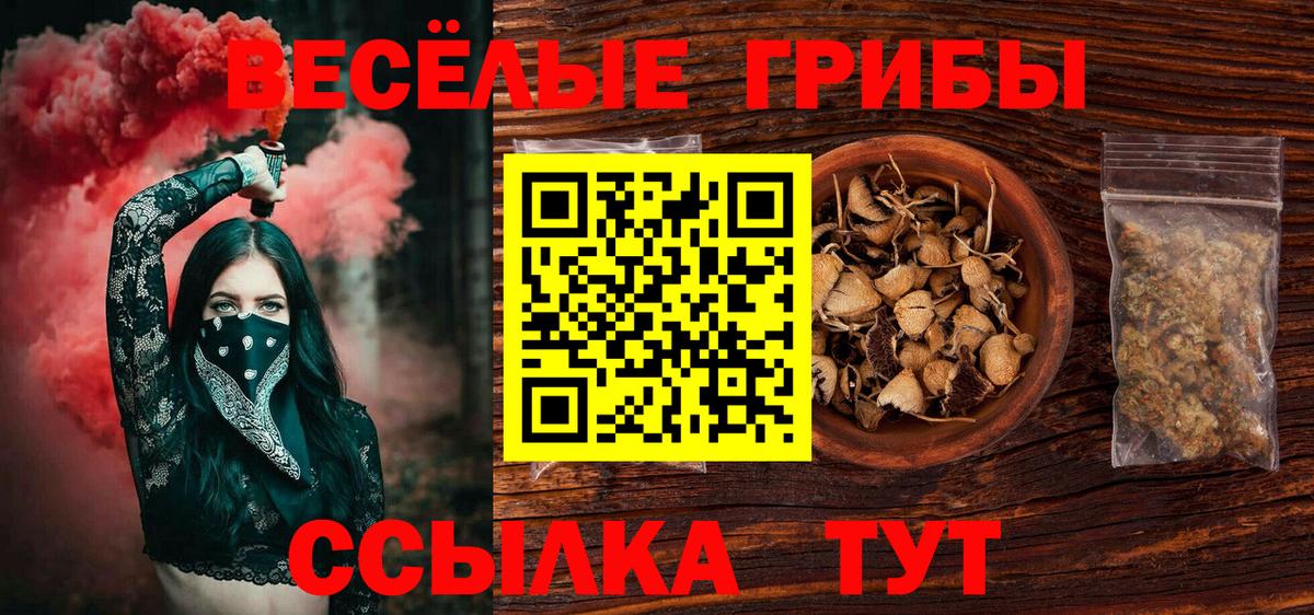 Славгород  Галлюциногенные грибы GOLDEN TEACHER  Псилоцибиновые грибы Magic Shrooms  Вход с VPN 