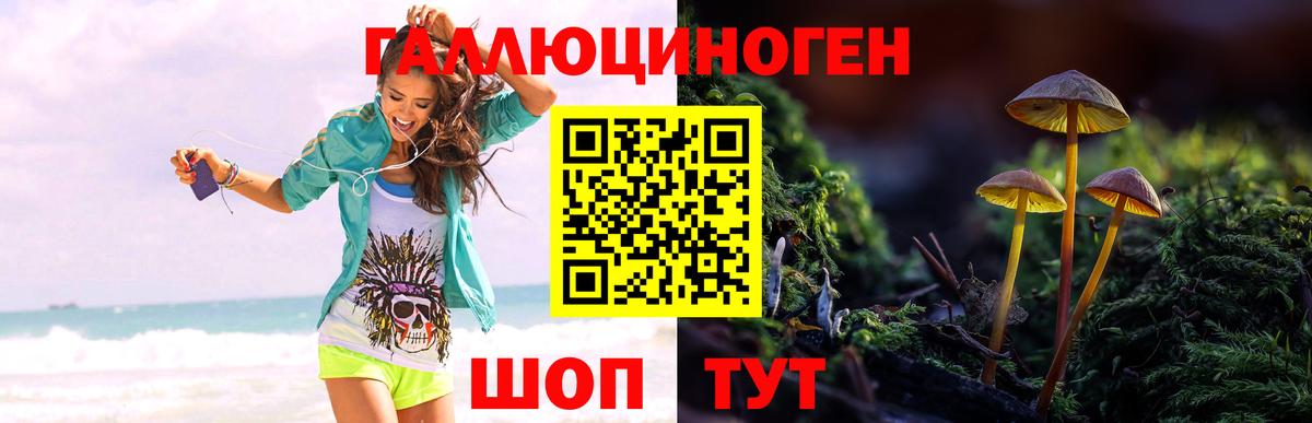 Псилоцибиновые грибы Cubensis Славгород
